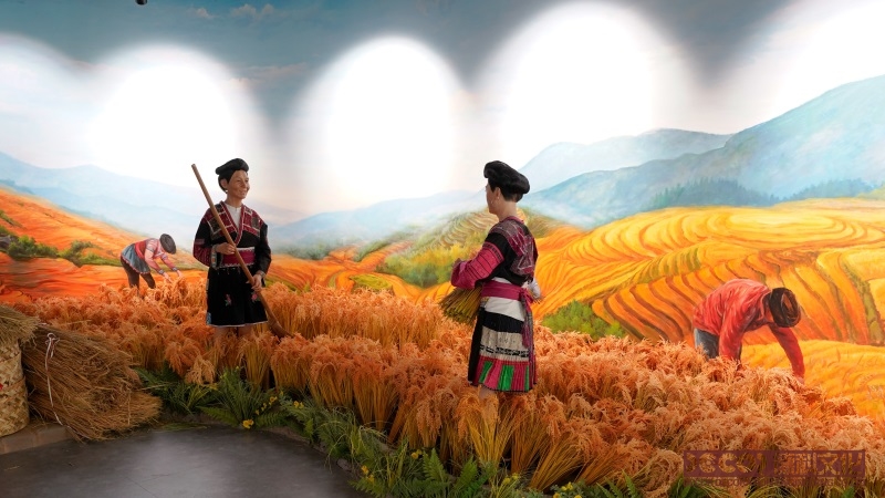 如何利用展覽廳設(shè)計(jì)來展示不同文化和宗教的藝術(shù)和文物？