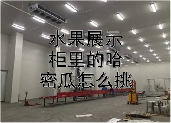 水果展示柜里的哈密瓜怎么挑