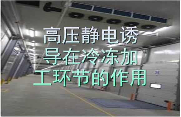 高壓靜電誘導(dǎo)在冷凍加工環(huán)節(jié)的作用